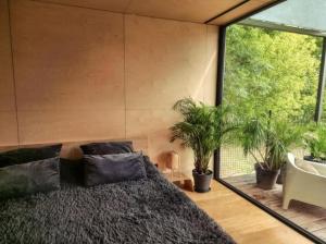 Riverfront Cabins in the garden