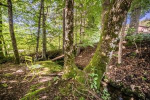 Appartements O songes de Saxel : photos des chambres