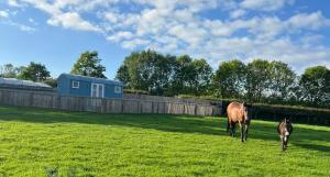 Wee Shepherds Hut Maybole