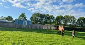 Wee Shepherds Hut Maybole - Dalrymple