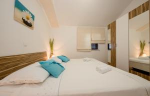 Apartments Vladimir downtown