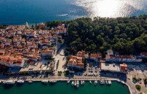 Apartments Vladimir downtown