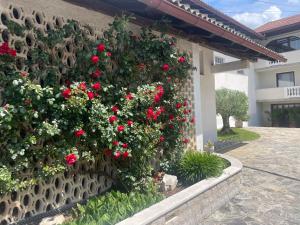 Apartma pri Cesarjevih