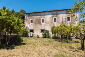 Villa Franca La Casina