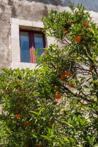 Villa Franca La Casina