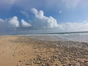 Maisons de vacances Maison a 8 min a pied de la Plage avec jardin clos et ombrage : photos des chambres