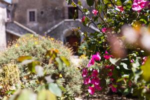 Villa Franca La Casina