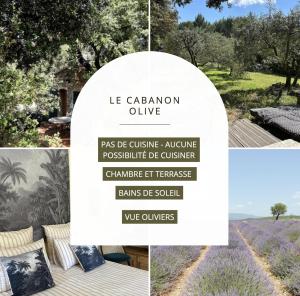 Maisons d'hotes Les Cabanons Sainte Victoire : photos des chambres