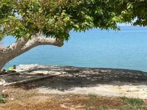 Sea breeze studios 2 - Synikia Mesi Trikalon