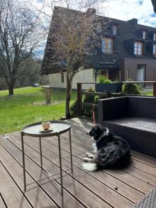 Apartmán Vratička Říčky v Orlických horách