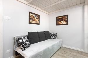 Pawia Apartments Studio