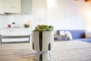 Experia Golf Loft - Italian Homing