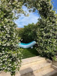 Maisons de vacances Villa provencale avec piscine : photos des chambres