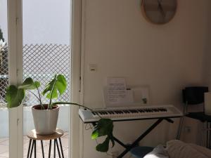 AntibesJuan les pins, cosy apartment