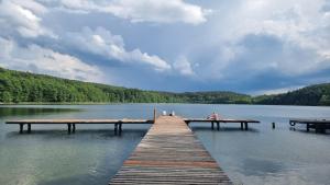 Ośrodek La La Las - domki letniskowe w lesie nad jeziorem