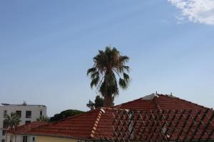 AntibesJuan les pins, cosy apartment