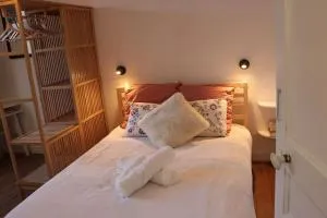 Chez Guillaume joli Studio, RER proche château et direct Paris, Petite Cour ensoleillée - 维罗夫莱