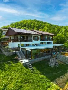 Conacul Fruntea cu ceru - Topleţ