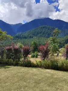 zoz star main pahalgam - Anantnāg