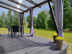 Domek Letniskowy ZŁOTY KARAŚ