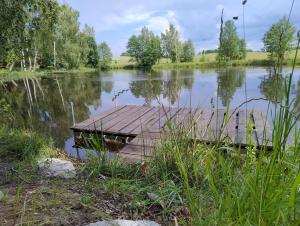 Domek Letniskowy ZŁOTY KARAŚ