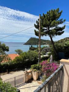 Appartements Residence Le Golfe Bleu : Appartement 1 Chambre avec Grande Terrasse