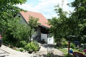 Magični kutak Magical corner - Vlasina Rid