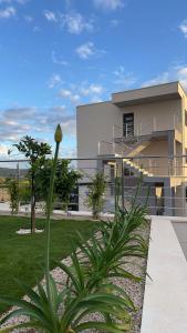 Villa Kiko 