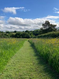The Dragons Hut with cozy logburner