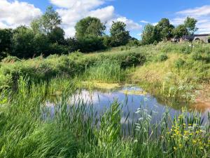 The Gin Palace with seasonal swimming pool