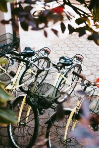 Hotel Paglierani - Nuova gestione 2024