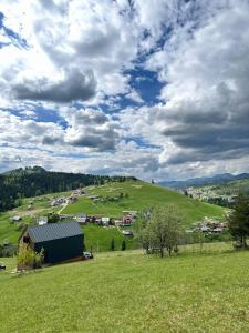 Карпати Плай Village