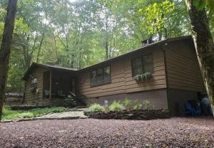 Harmony in the Woods