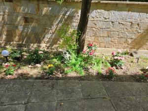 TERRA COMPLEX D5 - Private apartment - Golf, Skiing & SPA