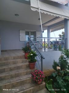 Dagos Rooms