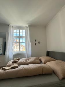 Stylish Centre Apartment TGM