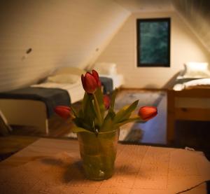 Saunamaja koos loung ruumi ja soome saunaga