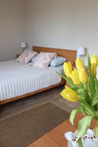 Pokoje&Apartamenty Plus Minus - Władysławowo