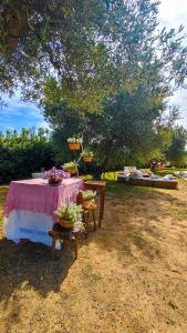 Agriturismo San Michele in Triglie