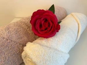 Appartements Appartement en centre-ville : photos des chambres