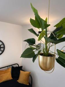 Appartements Cosy Appart - 4 personnes : photos des chambres