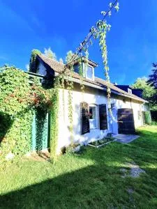 Zielona Samotnia - 波乌琴-兹德鲁伊