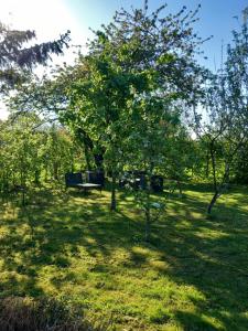 Maisons de vacances Les Oliviers de la Baie gite- Le Relais de la Baie : photos des chambres