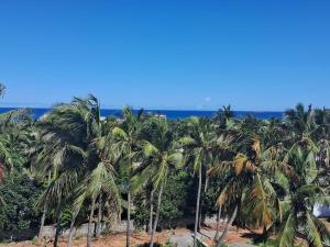 Feel Like Home Rushikonda