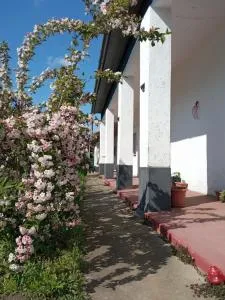 Szelíd Tisza Vályog Vendégház Tiszafüred - Kisjustus