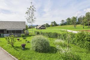 Apartments Pr Fajfarju