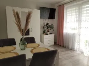 Sunny Boat Apartment - 罗兹省康斯坦丁努夫