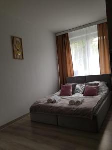 Sunny Boat Apartment