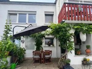 Apartment am Rotweinwanderweg - 辛齐希
