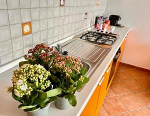 Residenza Saverosa img9